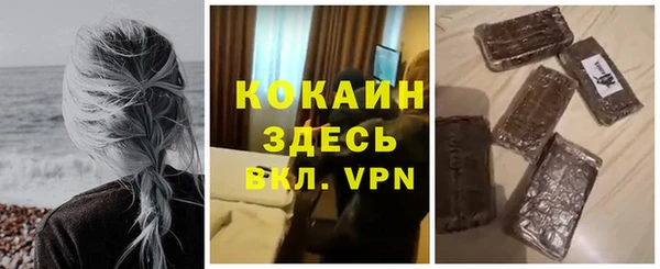 apvp Бородино