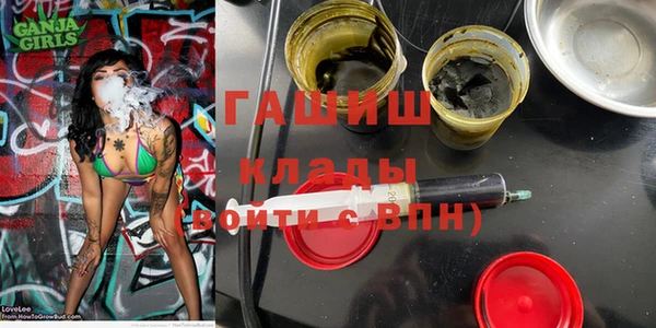 apvp Бородино