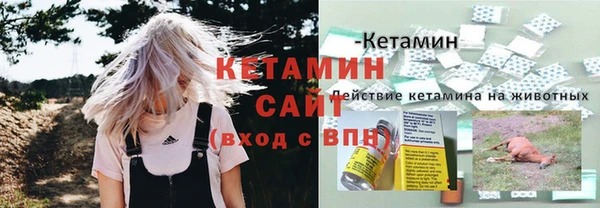 apvp Бородино