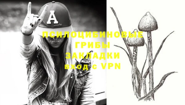 apvp Бородино