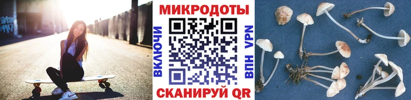 Галлюциногенные грибы мицелий  Купить  Кремёнки 
